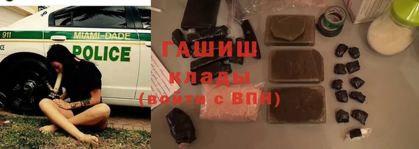 дмт Богданович