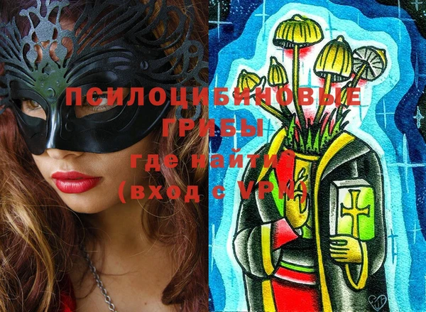 дмт Богданович