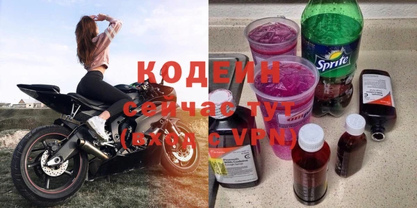 дмт Богданович