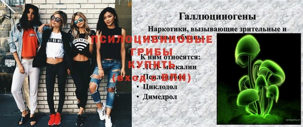 дмт Богданович