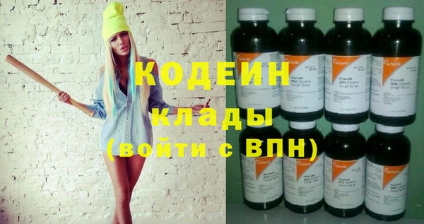 дмт Богданович