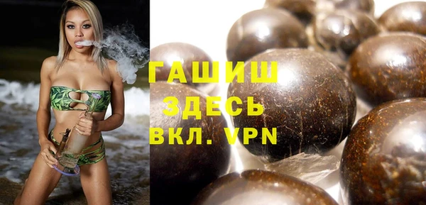 дмт Богданович