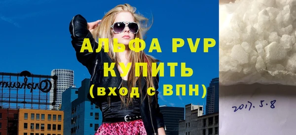 дмт Богданович