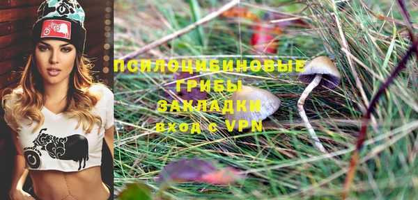СК Богородицк