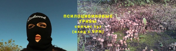 таблы Богородск