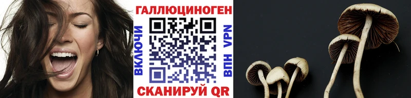 купить наркоту  Сланцы  Галлюциногенные грибы прущие грибы 