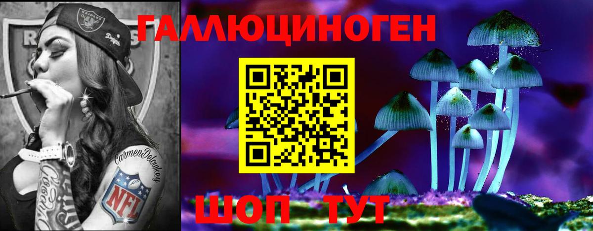 Сланцы  Галлюциногенные грибы прущие грибы  Вход с VPN 