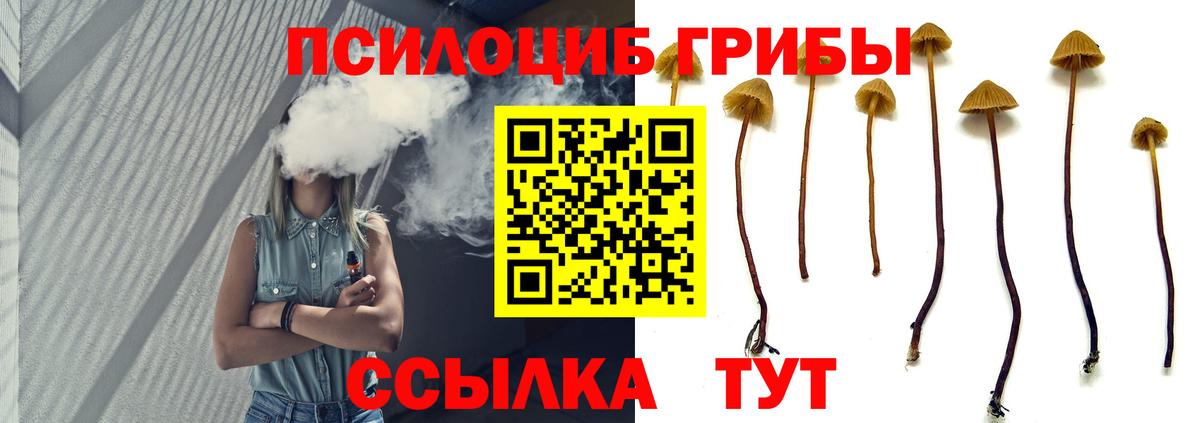 Псилоцибиновые грибы прущие грибы Сланцы